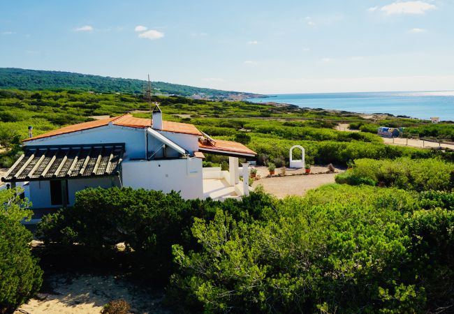 Villa em Playa de Migjorn - Casa Stefi Beach House, Migjorn - Formentera
