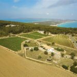 Aerial view of Terramoll Winery in La Mola, Formentera